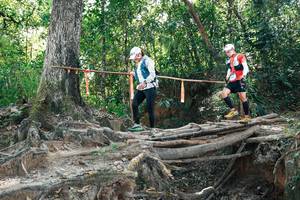 BIB: 
                            <button type="button" onclick="openModal(27745848)" class="btn btn-primary btn-sm float-right btn-popup" data-toggle="modal" data-target=".modal-high-quality">
                        <i class="fas fa-shopping-cart"></i> Add to Cart
                    </button>
                                            <button type="button" onclick="isThisMe(27745848, true)" class="btn btn-success btn-sm float-right btn-popup btn-isme hidden" data-toggle="tooltip" data-placement="bottom" title="นี่คือรูปของคุณใช่ไหม คลิกที่นี่เพื่อเอาเข้าอัลบั้ม">
                        <i class="fas fa-plus"></i> Add to album
                    </button>
                    <button type="button" onclick="isThisMe(27745848, false)" class="btn btn-warning btn-sm float-right btn-popup btn-isnotme hidden">
                        <i class="fas fa-ban"></i> Remove from album
                    </button>